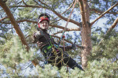 /images/baumpflege/_06A2937.webp